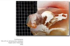 Imagen Obra Reciente - 1
