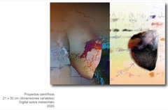 Imagen Obra Reciente - 4
